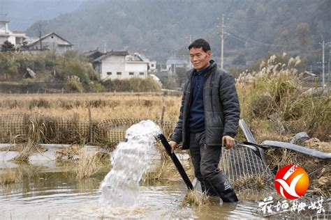 进田水